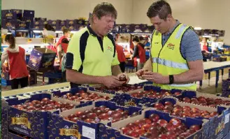 The Chosen Ones Nectarines