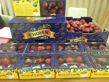 The Chosen Ones Nectarines